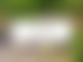 Project Update: 16.05.2023