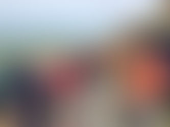 Philmont Shakedown Backpacking Trip # 2 - Appalachian Trail