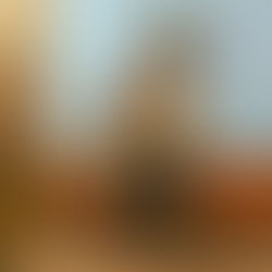 Troop 300 Court of Honor