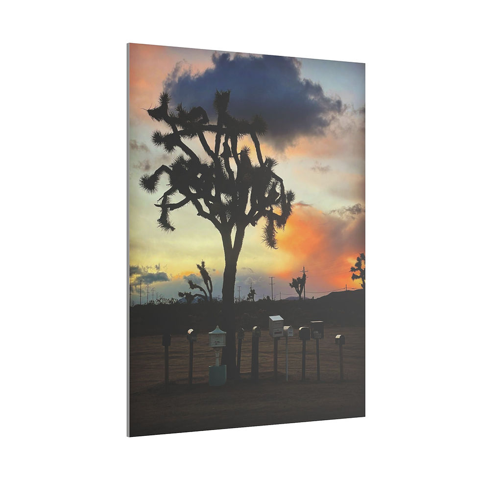 Thumbnail: Desert Dispatch