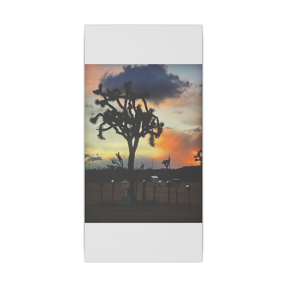 Thumbnail: Desert Dispatch