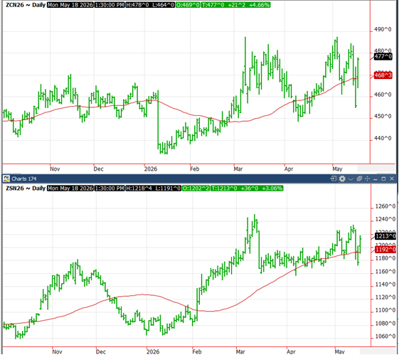 corn and soybean charts
