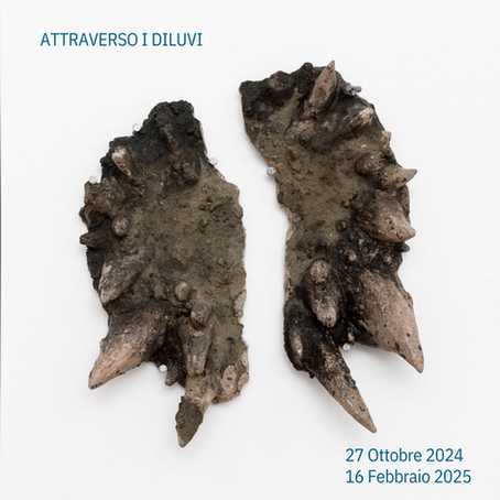 Attraverso i diluvi