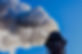 AdobeStock_347554946_edited.jpg