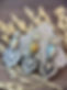 IMG_6917.jpeg