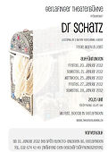 Flyer dr Schatz
