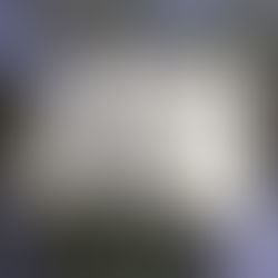 Un cuerpo que escribe inicia el 2026 entre el Delta argentino y la Ciudad de Buenos Aires. 