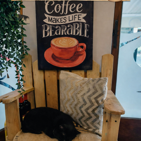 Postcards from the Road