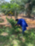 3AC2EA57-4BF8-46AC-AAFA-479917BD1E1D_L0_001-09_01_2025 09_46_07.jpg
