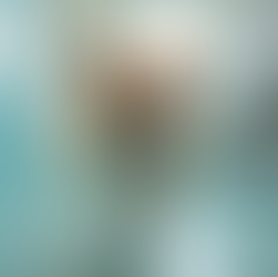 Top Tips for Choosing Pet Care Services