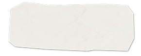 White Paper