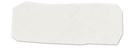 White Paper