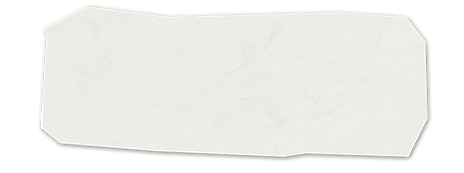 White Paper