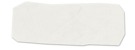 Carta bianca