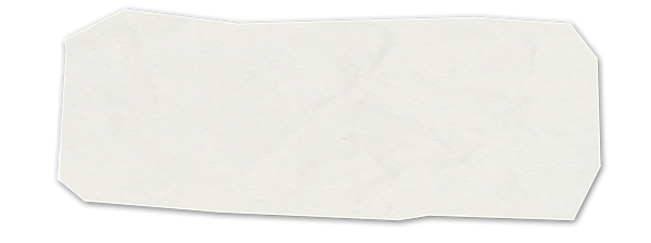 White Paper