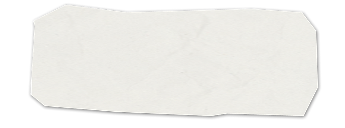 White Paper