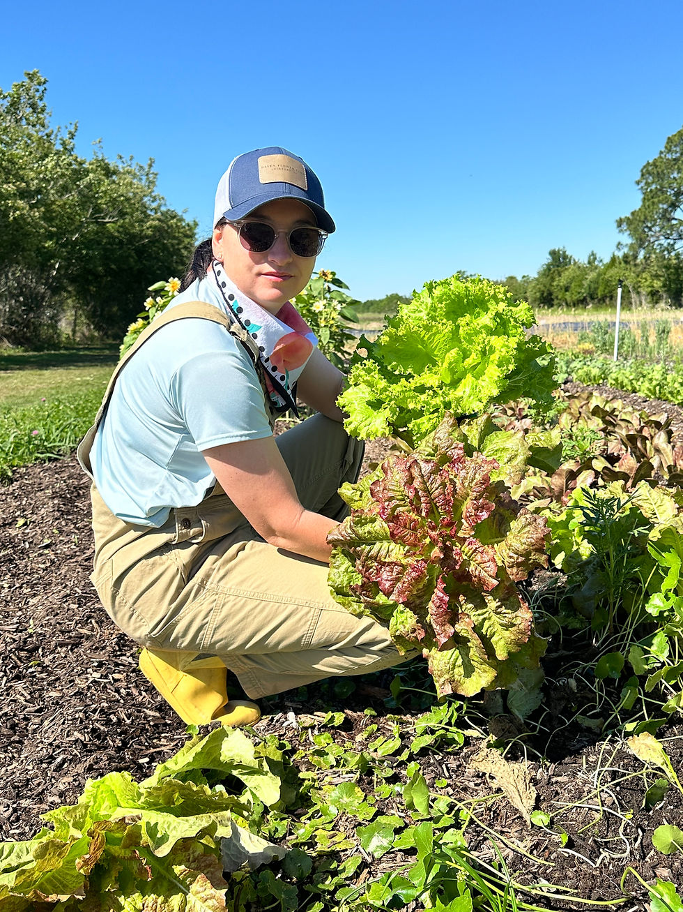 Thumbnail: Romaine Lettuce Mix