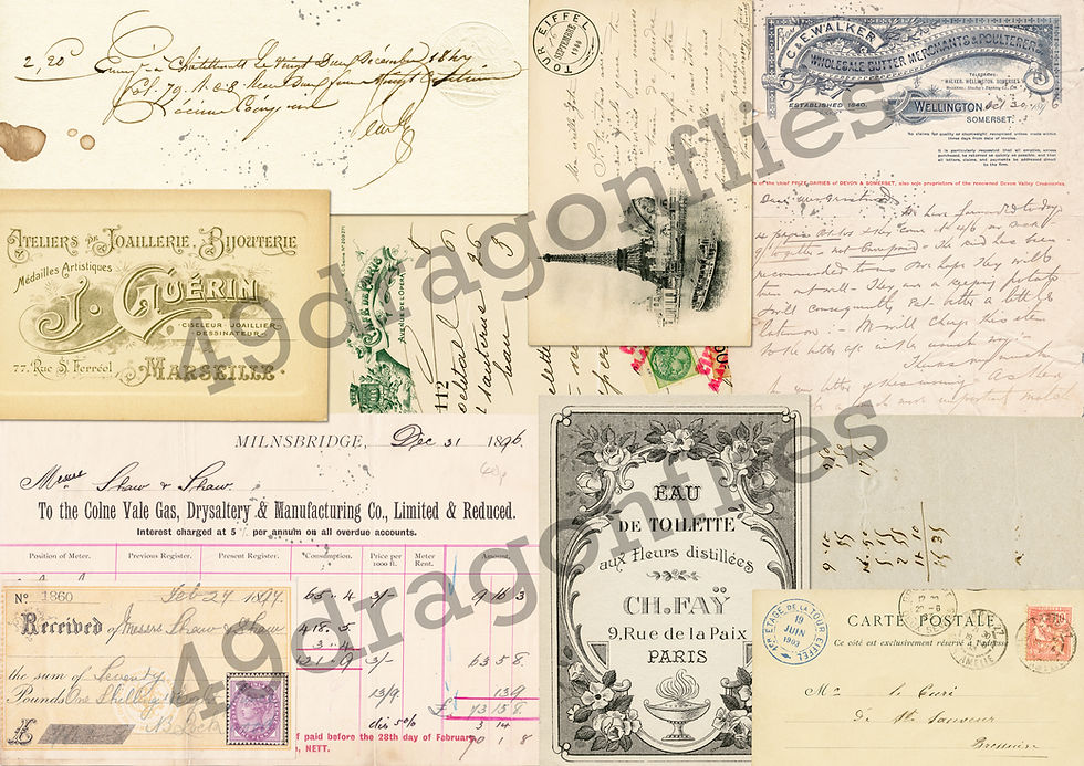 Thumbnail: Lemon Birds Backgrounds A4 SIZE