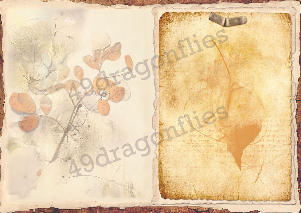 Thumbnail: Enchanted Blueberry Woods Backgrounds US LETTER SIZE