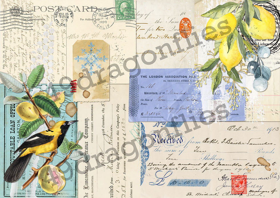 Thumbnail: Lemon Birds Backgrounds A4 SIZE