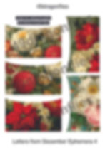 Thumbnail: Letters from December Ephemera A4 Size
