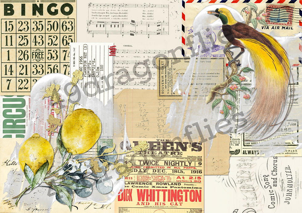 Thumbnail: Lemon Birds Backgrounds A4 SIZE