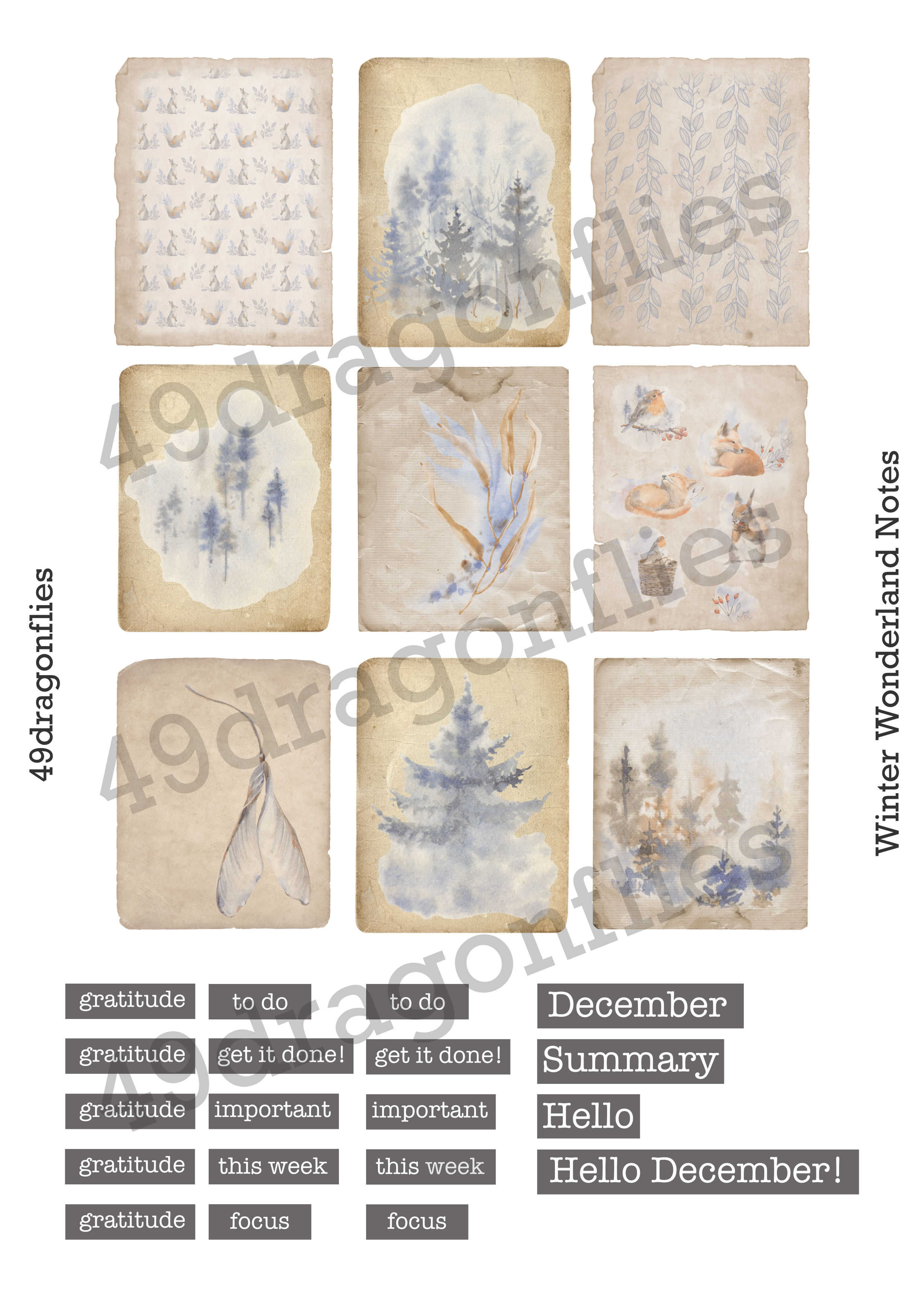 Winter Wonderland Notes