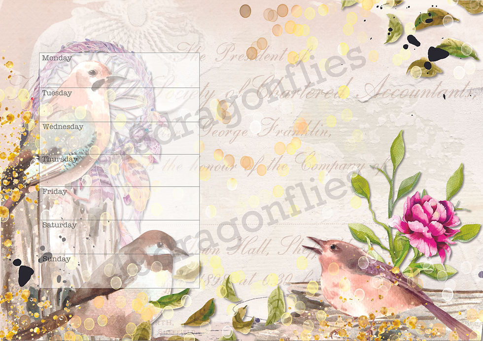 Thumbnail: Boho Birds Weeklies and Monthly NO DATE With Background
