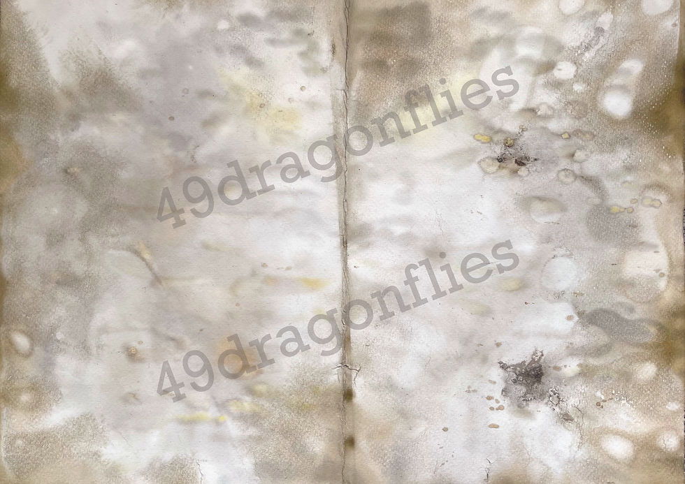 Thumbnail: Grungy Eco Print Backgrounds