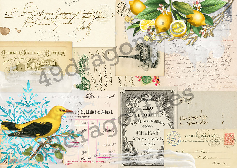 Thumbnail: Lemon Birds Backgrounds A4 SIZE