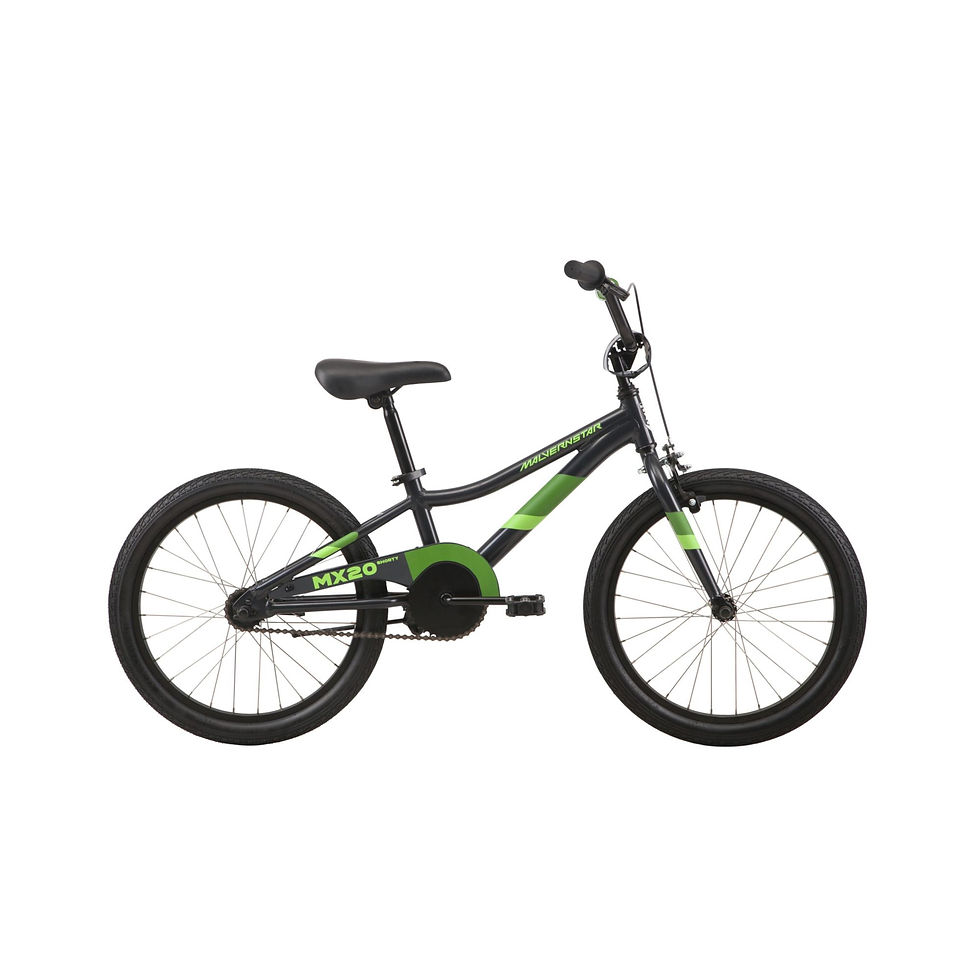Malvern Star MX20 Shorty Black