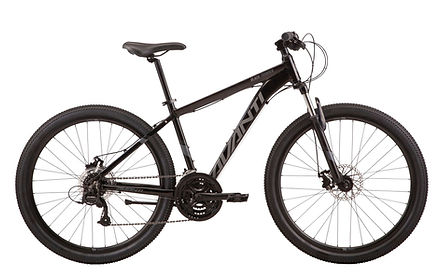 Avanti Black Thunder Mountain Bike Avanti Black Thunder Mountain