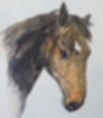 Horsehead Watercolour.jpg