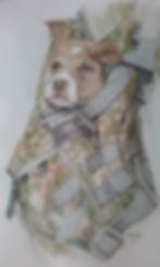 Pooch In A Pouch