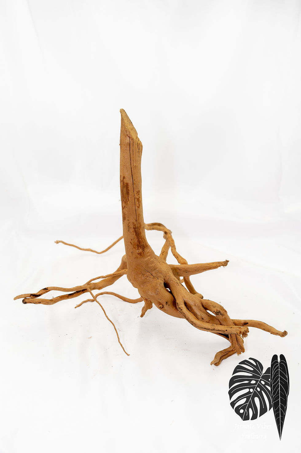 Miniaturbild: Aqua Wood / Fingerwurzel