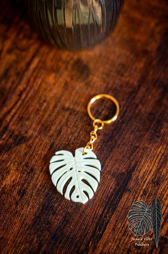 philodendron melanochrysum luftfeuchtigkeit Philodendron melanochrysum  samtige Raritt kaufen
