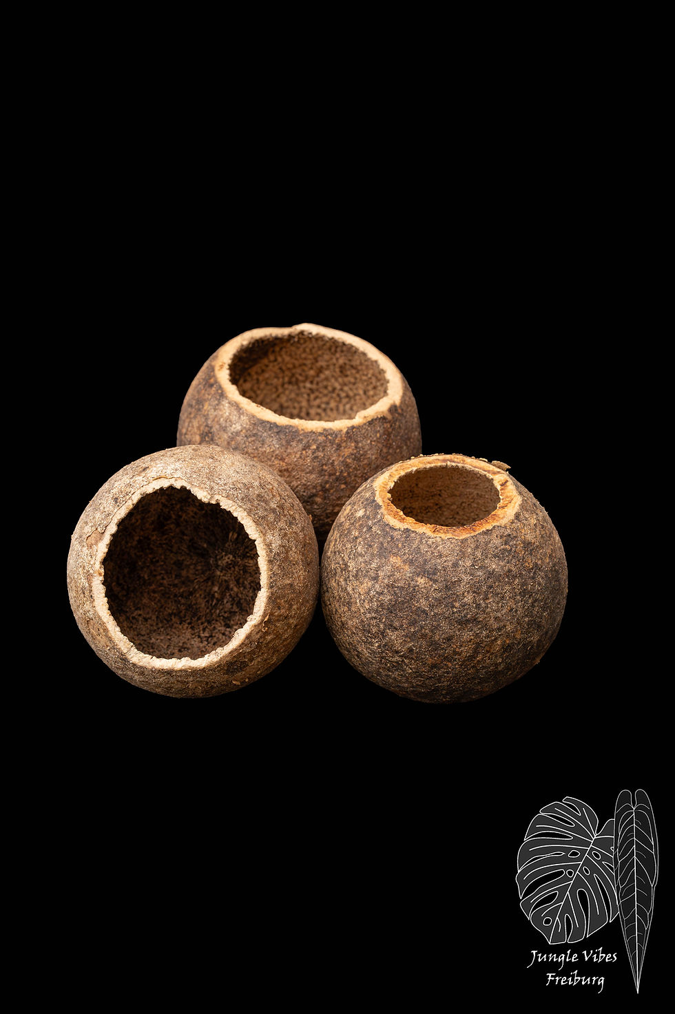 Miniaturbild: Holzapfel