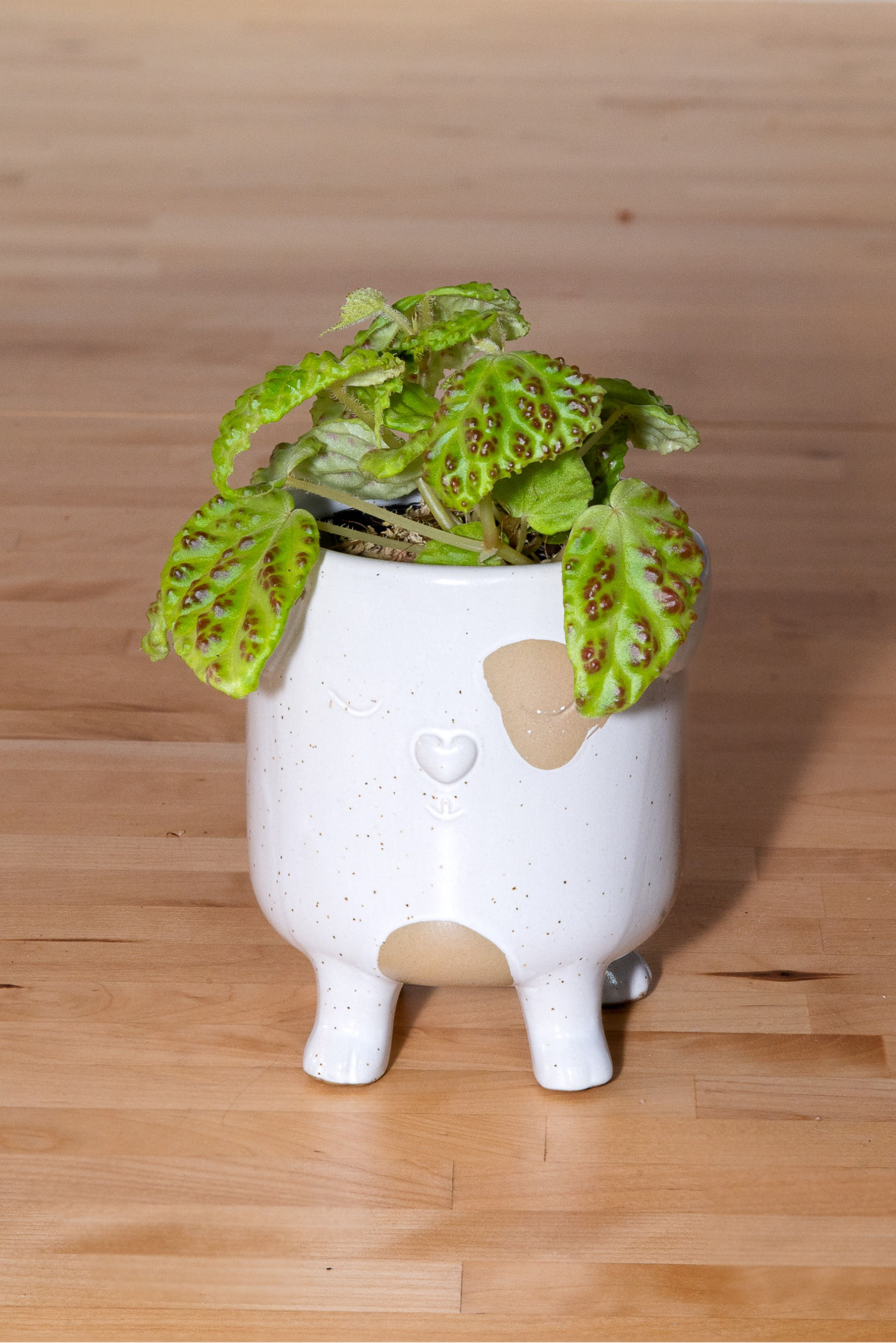 Pflanzenübertopf im Hundedesign