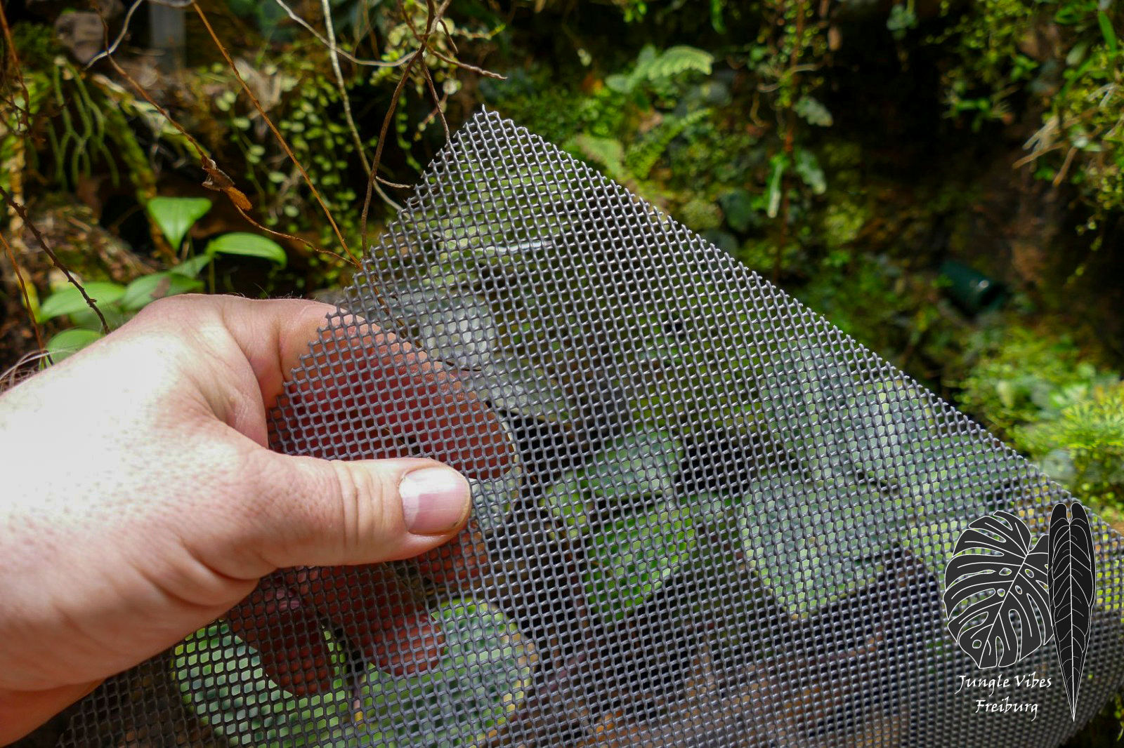 Feinraster 2-3mm Lochung 50cm breit