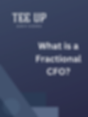 fractional cfo definition