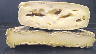 Quattro chiacchiere sulla stagionatura dei formaggi