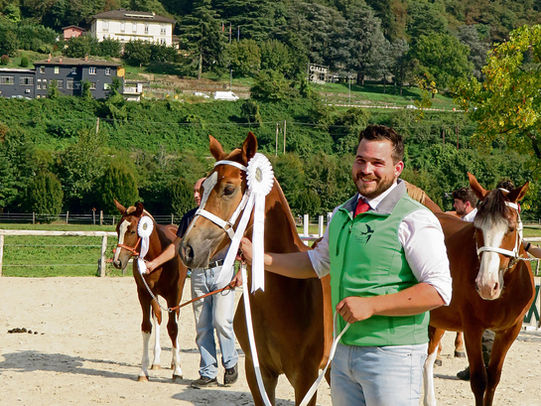 Matteo Cuccu con Cognac delle Rondinelle, puledro Franches-Montagnes