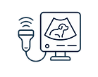 ultrassom_edited.png