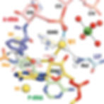 Proton wire connecting the alpha-amine of an incoming aminoacyl-tRNA to the 5'-phosphate of A-tRNA residue A76 within the ribosomal peptidyl transferase center.