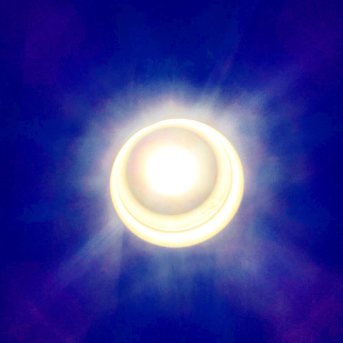 Indigo Sight