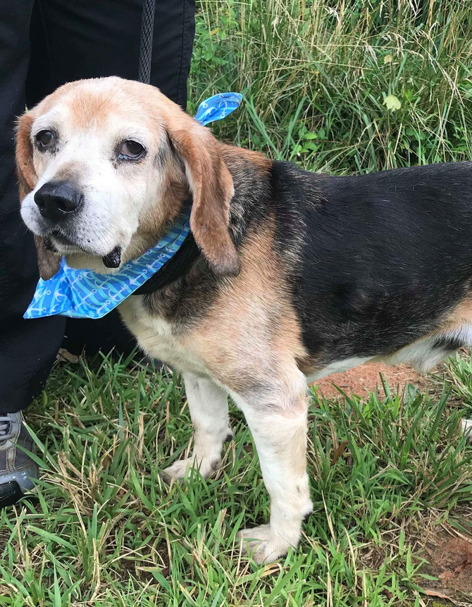 Freedom Ride and New Friend for Ernie