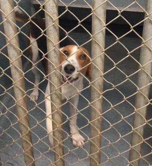 A Long Journey for Julian Ends with a Home