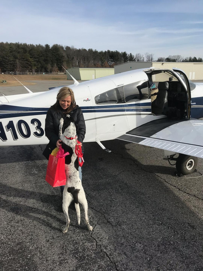 Oreo's Freedom Flight