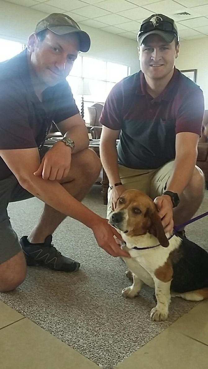 CrisisDogsNC Rescue Week in Reivew