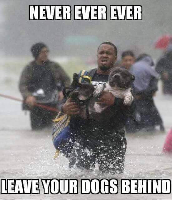 A Hurricane Week